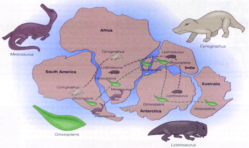 Geographic distribution of plant and animal fossils with the same geologic age from